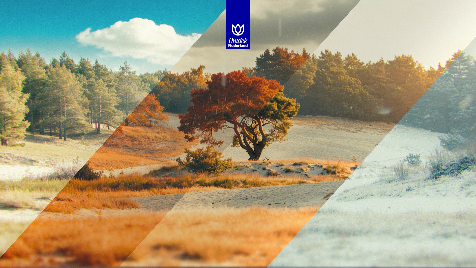 Project Name - Explainer Animation